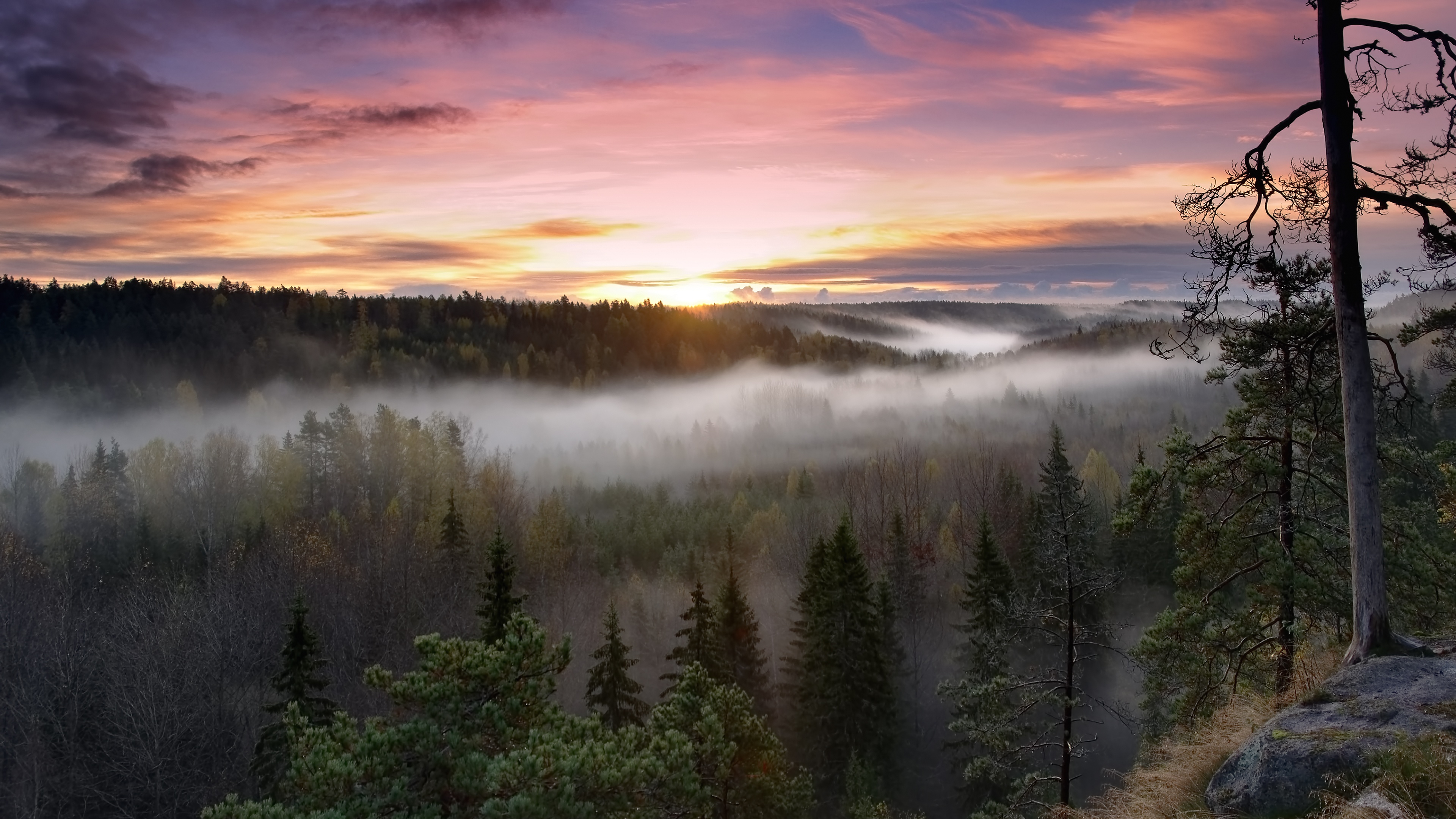 foggy sunrise national park 3840 x 2160 26